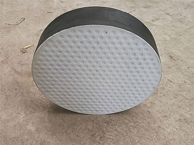 托克逊四氟板式橡胶支座易于更换缓冲隔震
